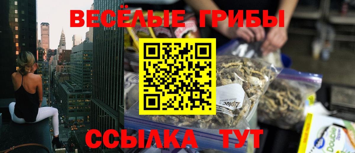 Галлюциногенные грибы GOLDEN TEACHER  Вход с VPN  Псилоцибиновые грибы GOLDEN TEACHER  Верхняя Пышма 