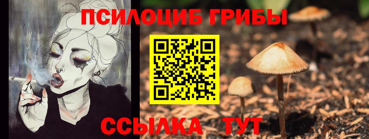 Галлюциногенные грибы Psilocybe Верхняя Пышма